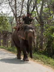 Nepal 2009-02