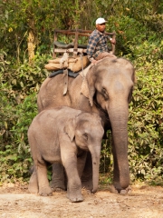 Nepal 2009-02