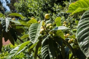 RX100_140521_151418-8977