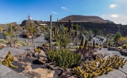 DJI_OP_190209_120006-0001-Pano