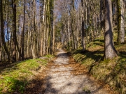 DJI_OP_190331_141315-0603