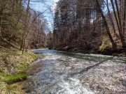 DJI_OP_190403_134345-0647