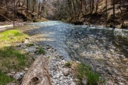 RX100M4_190403_140338-03591
