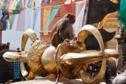 Nepal 2009-02
