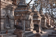Nepal 2009-02