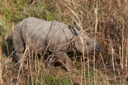 Nepal 2009-02