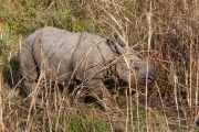 Nepal 2009-02