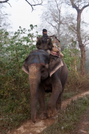 Nepal 2009-02