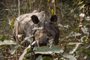 Nepal 2009-02