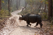 Nepal 2009-02