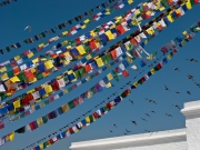 Nepal 2009-02