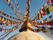 Nepal 2009-02