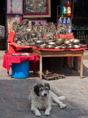 Nepal 2009-02