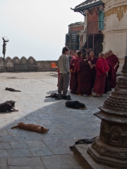 Nepal 2009-02