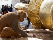 Nepal 2009-02