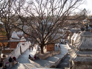Nepal 2009-02