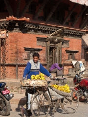 Nepal 2009-02