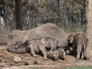 Nepal 2009-02