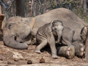 Nepal 2009-02