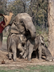 Nepal 2009-02