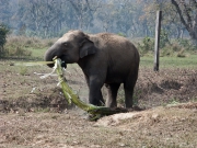 Nepal 2009-02
