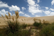 Neuseeland 2006