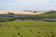 Neuseeland 2006