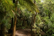 Neuseeland 2006
