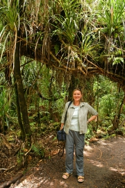 Neuseeland 2006