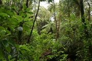 Neuseeland 2006