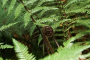 Neuseeland 2006