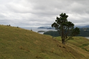 Neuseeland 2006