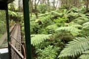 Neuseeland 2006