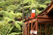 Neuseeland 2006