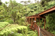 Neuseeland 2006