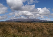 Neuseeland 2006