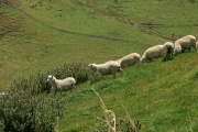 Neuseeland 2006