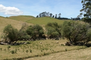 Neuseeland 2006