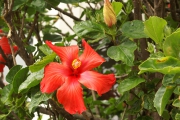 Neuseeland 2006