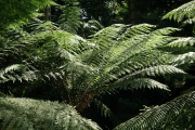 Neuseeland 2006