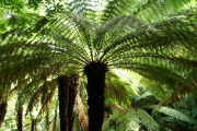 Neuseeland 2006