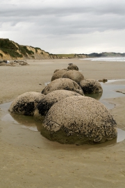 Neuseeland 2006