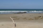 Neuseeland 2006