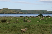 Neuseeland 2006