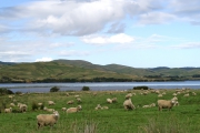 Neuseeland 2006