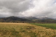 Neuseeland 2006