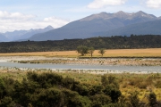 Neuseeland 2006