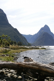 Neuseeland 2006
