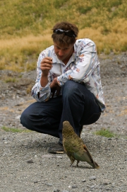 Neuseeland 2006