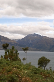 Neuseeland 2006